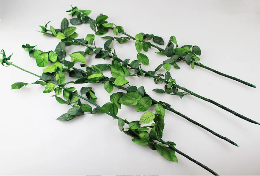 5 шт. натуральные консервированные ветки розы 50 см для прививки цветов украшения