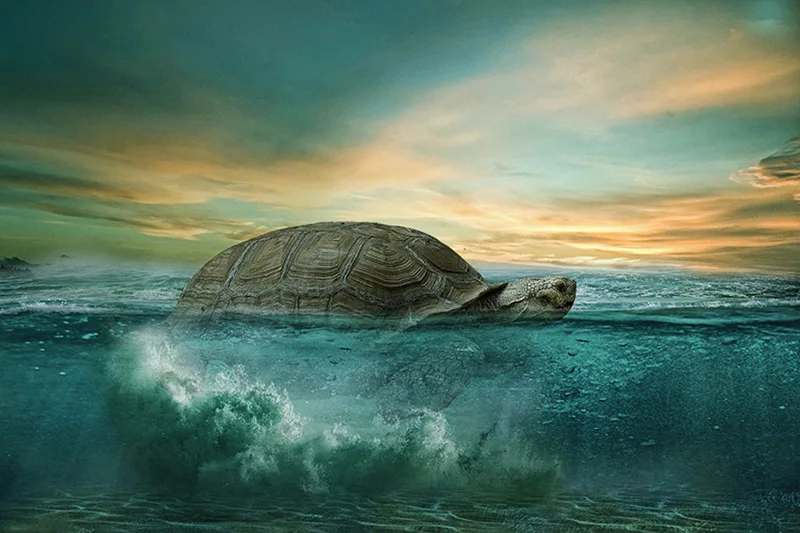 5d алмазная вышивка черепаха животные кристалл крестом полная квадратная