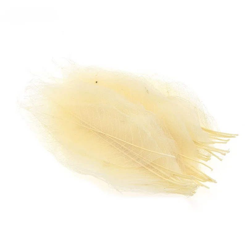 50 шт. высушенные листья для украшения дома|Искусственные и сухие цветы| |