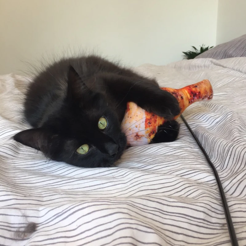 Пищалка игрушки для кошек кошачья мята плюшевая игрушка товары кухонные