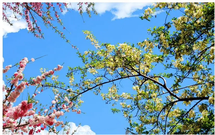 Красивое голубое и белое небо на заказ Потолочная Настенная картина для гостиной