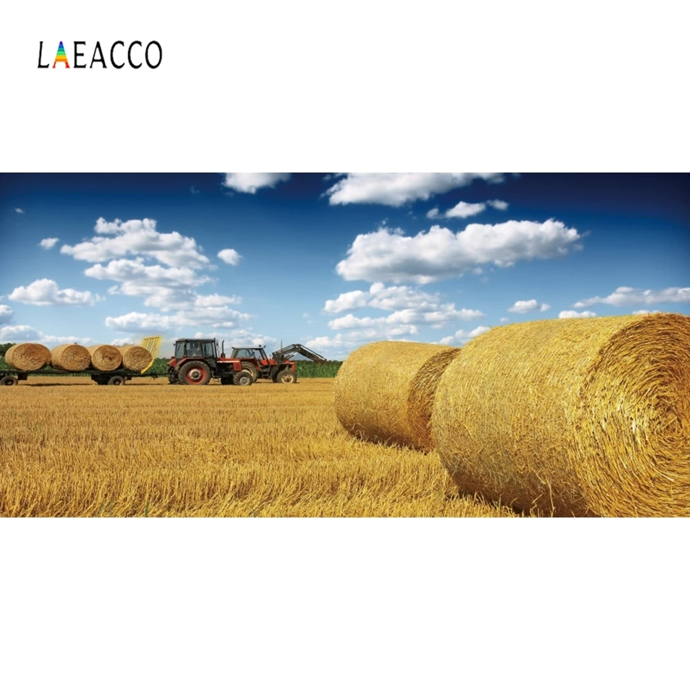 Laeacco природа живописный Урожай Золотой пшеничное поле фотографии фоны