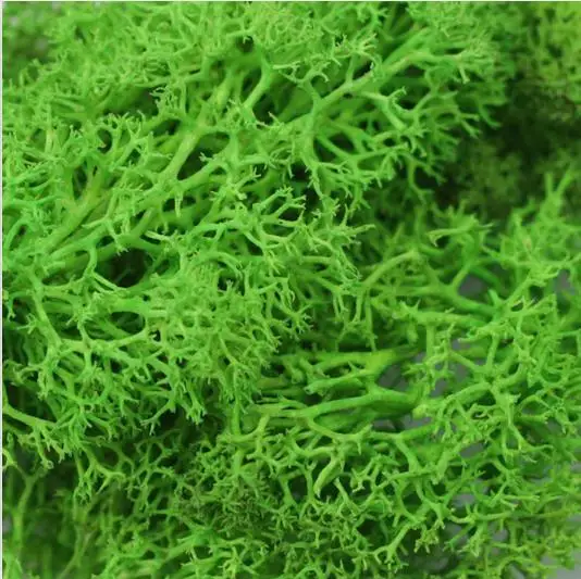 Dark green Рога вечный мох растение стены Искусственные растения газон фон Сделай Сам стены украшения дома стены Бонсай Аксессуары - Цвет: Dark green