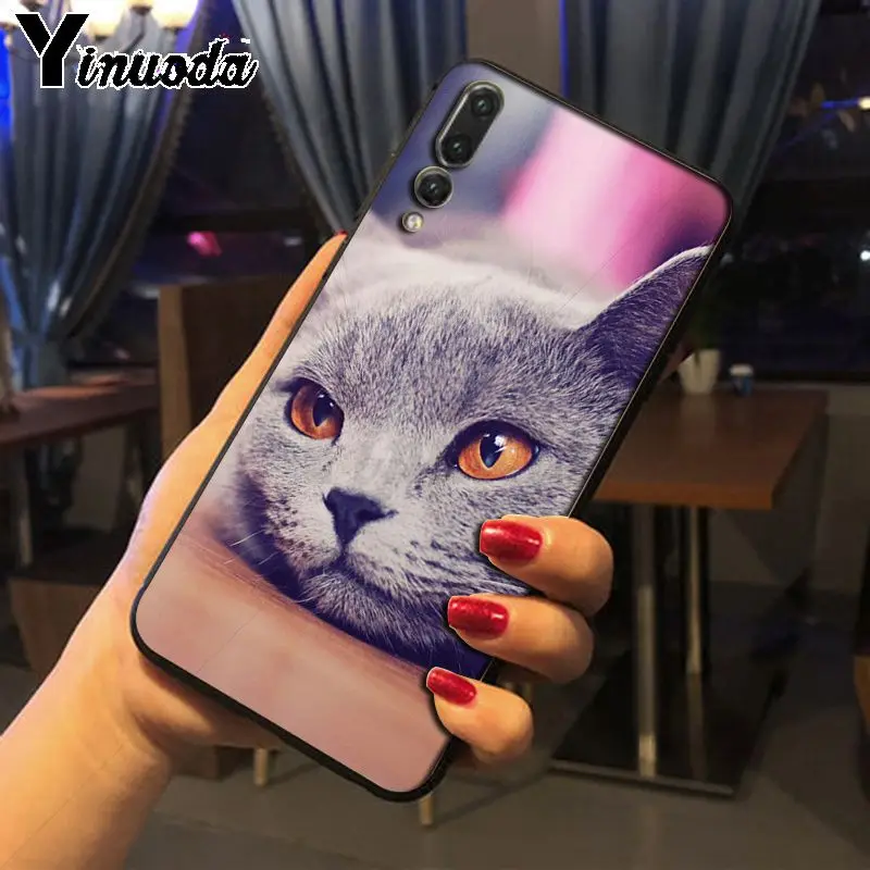 Yinuoda Британский короткошерстный чехол для телефона с кошкой Huawei P20pro mate10lite p9 p10plus