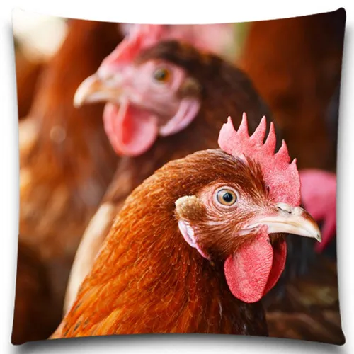 Наволочка на подушку с изображением петуха/паука 9 стилей 16 18 20 дюймов | Дом и сад
