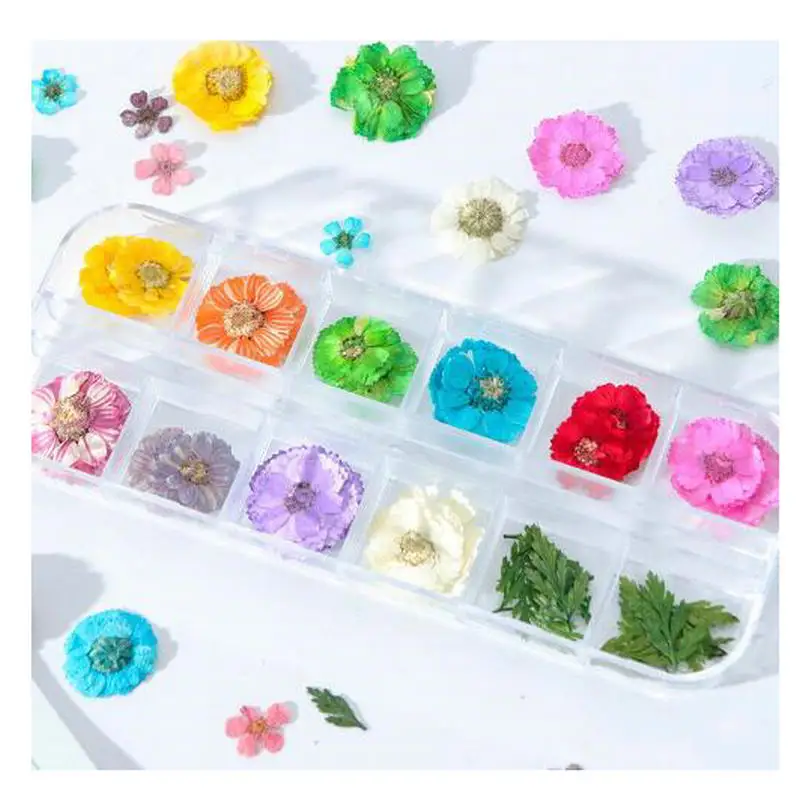 

12colors Dried Flower Glitter Sequins Nail Art DIY Resin Jewelry Stuff Pendant Handmade Craft Cosmetic Decor Phone Case Decoden