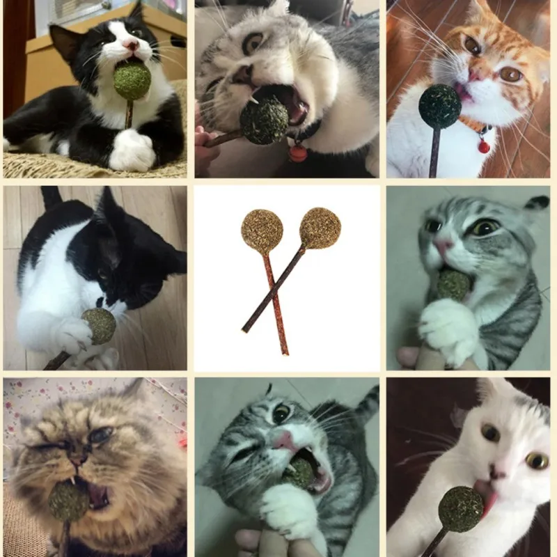 КОШКА КОШАЧИЙ леденец кошачий мяч с палкой кошка игрушка котята и кошки любят