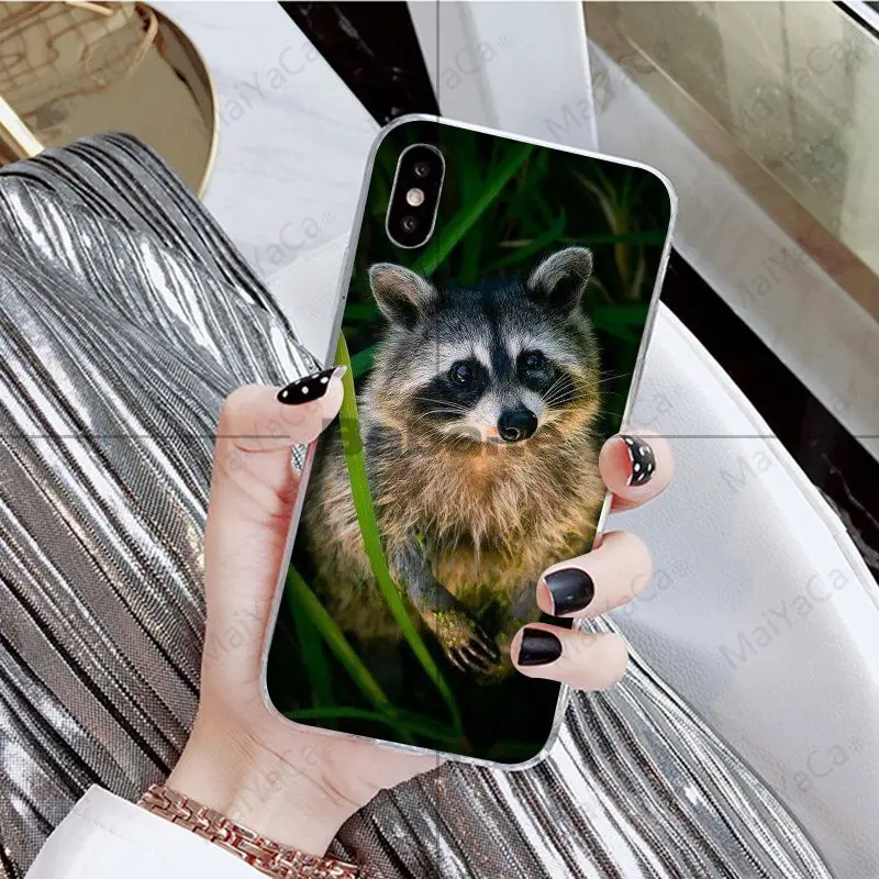 Babaite животное енот лиса красочные милые аксессуары для телефонов Чехол для iPhone X XS MAX 6 6S 7 7plus 8 8Plus 5 5S XR