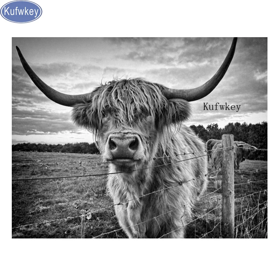 Diy Алмазная вышивка крестиком на рисунке &quotHighland корова&quot Полные Стразы 5D