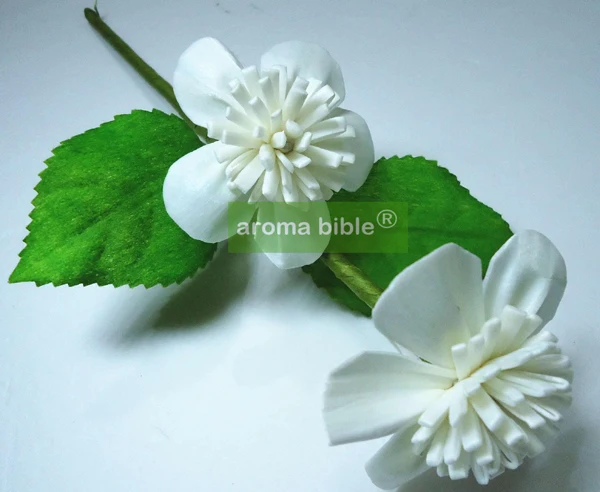 

1000 pcs /lot Handmade sola wood flowers for fragrance diffuser and home decor with 12cm Rope or rattan reed sticks Top quality