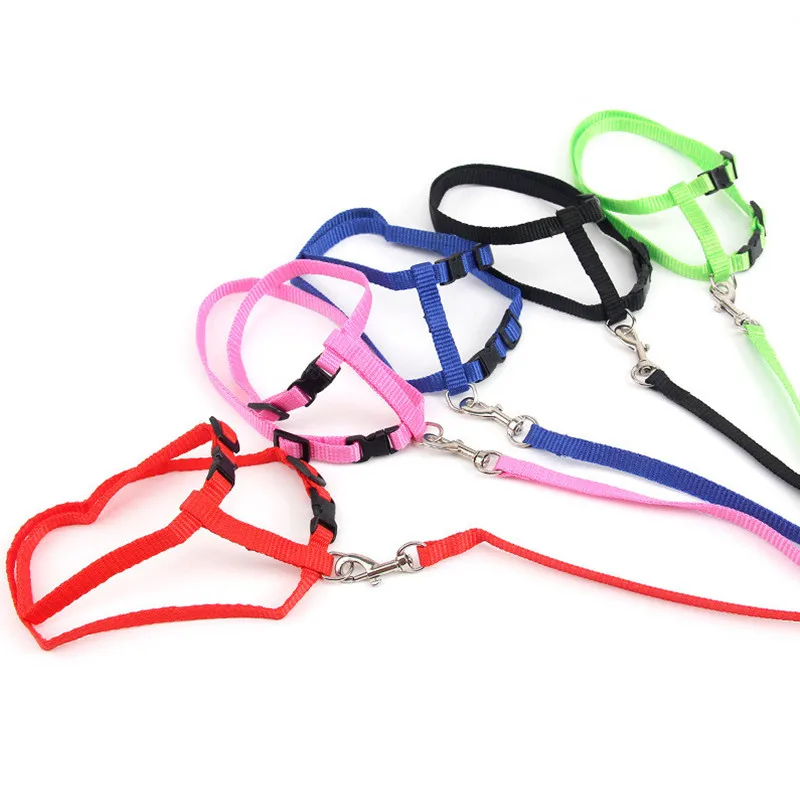 Поводок для маленьких домашних животных 120 см | Дом и сад