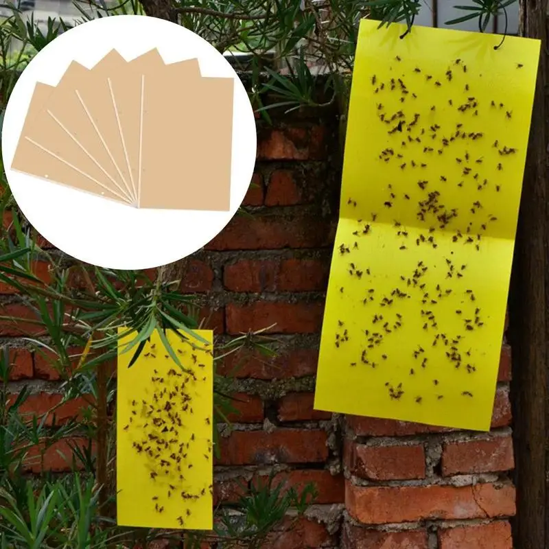 Нетоксичный ПВХ пластик Aphids гриб грызги листья горные машины Белые мухи