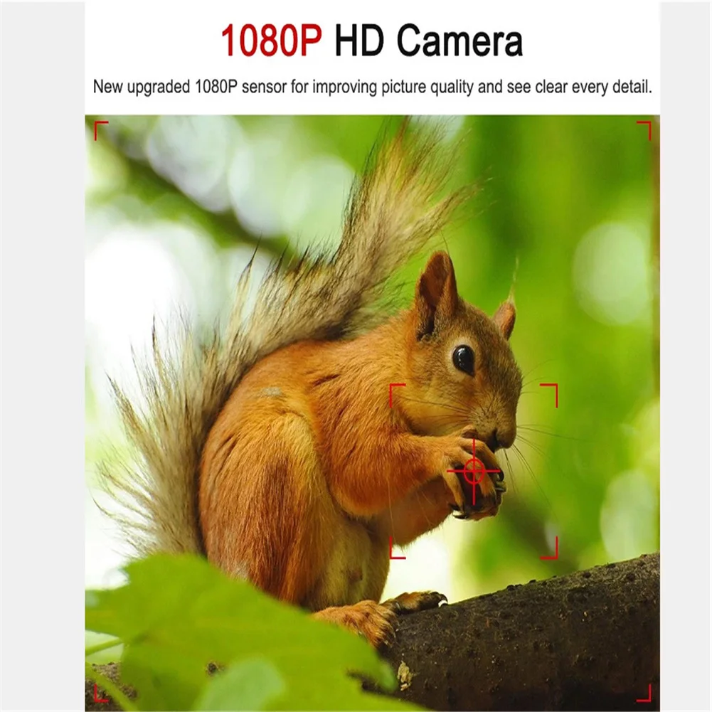 Спортивный дом спереди и сзади легкий петля Reing DVR Full HD Carer обнаружения движения