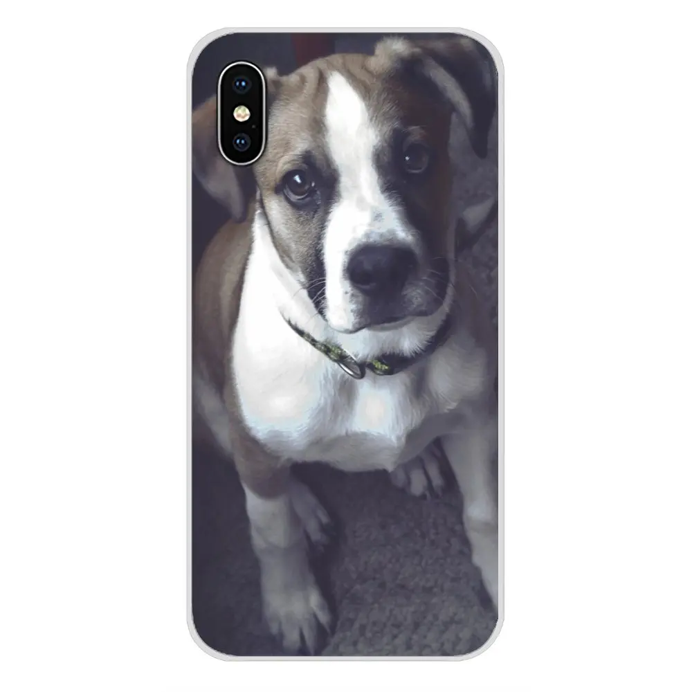 Weimaraner собака искусство для Samsung Galaxy J1 J2 J3 J4 J5 J6 J7 J8 плюс 2018 Prime 2015 2016 2017 аксессуары