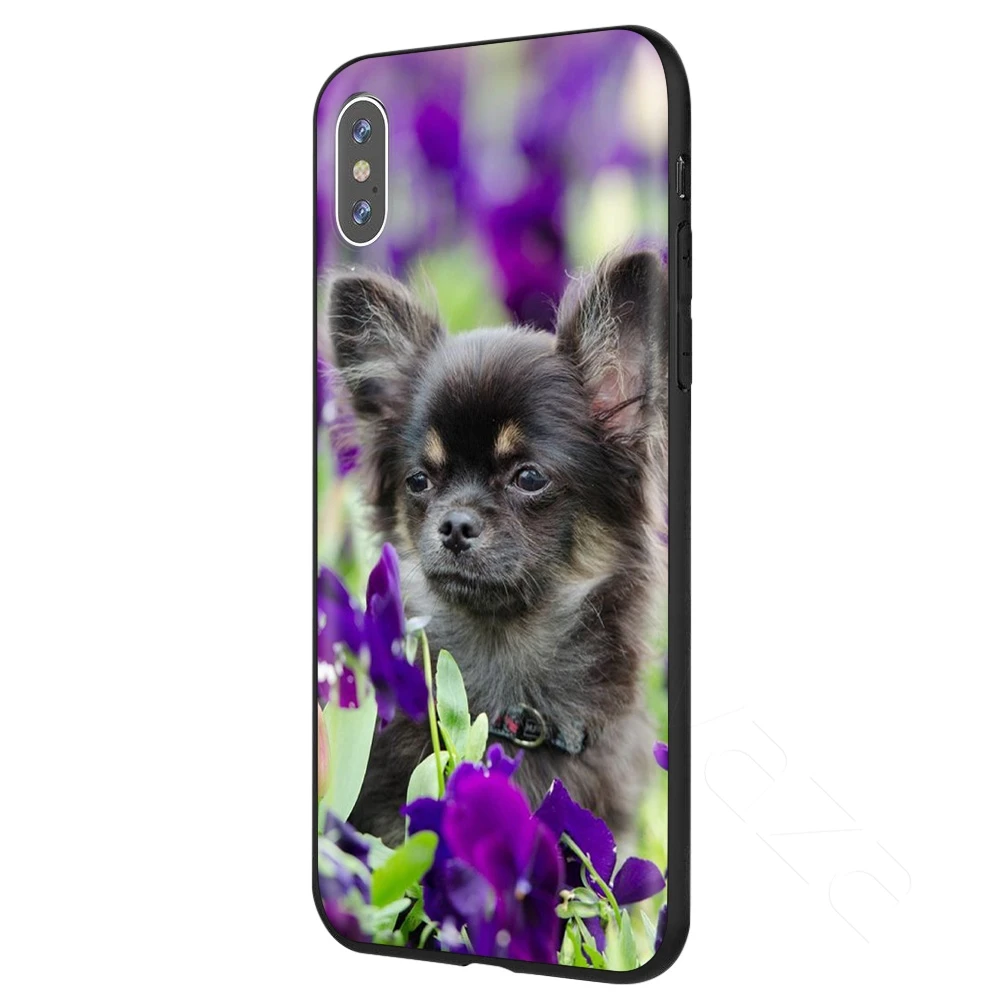 5 Чехол для iPhone 11 Pro XS Max XR X 8 7 6 6S Plus 5 5S se - Цвет: 5