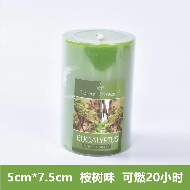 Домашняя Scentend свеча, рождественские свечи на день рождения, свадебные декорации, романтические свечи, Подарочные свечи, восковые свечи WZE003 - Цвет: eucalyptus 5x7.5cm