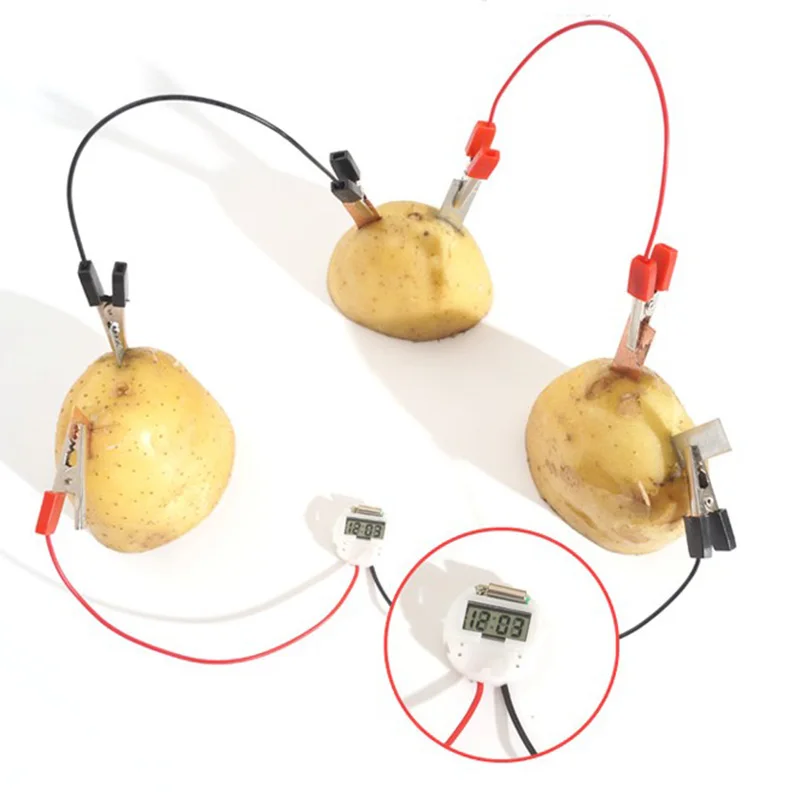 

1 Educational DIY Material Potato Clock Novel Green Science Project Experiment Kit Lab Home School Toy Funny For Children Kids