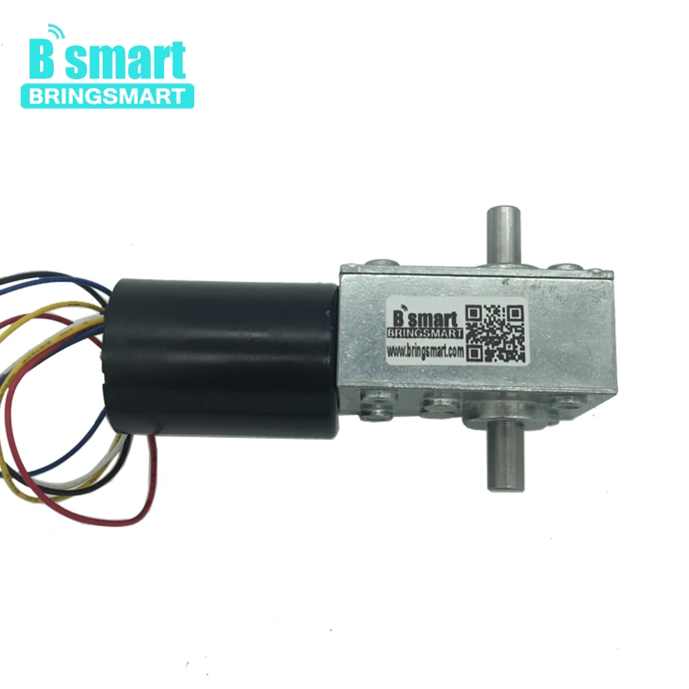 Bringsmart 5840 3650 бесщеточный двойной вал 12В 24В DC турбо червячный редуктор мини