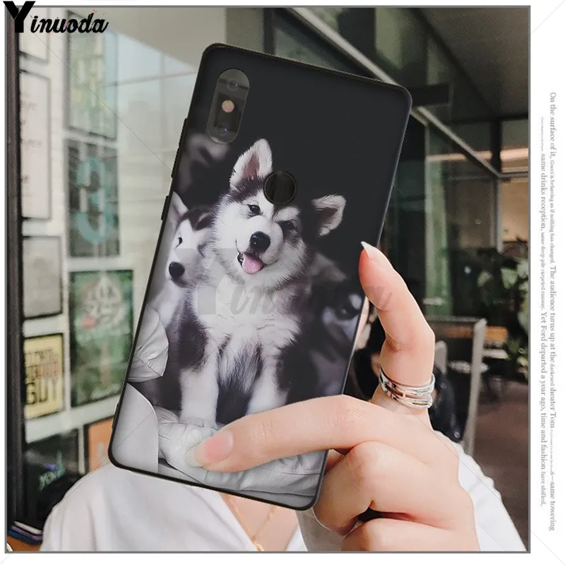 Чехол для телефона Yinuoda с изображением милого щенка Хаски Xiaomi Redmi 5 5Plus Note4 4X Note5 6A Mi 6