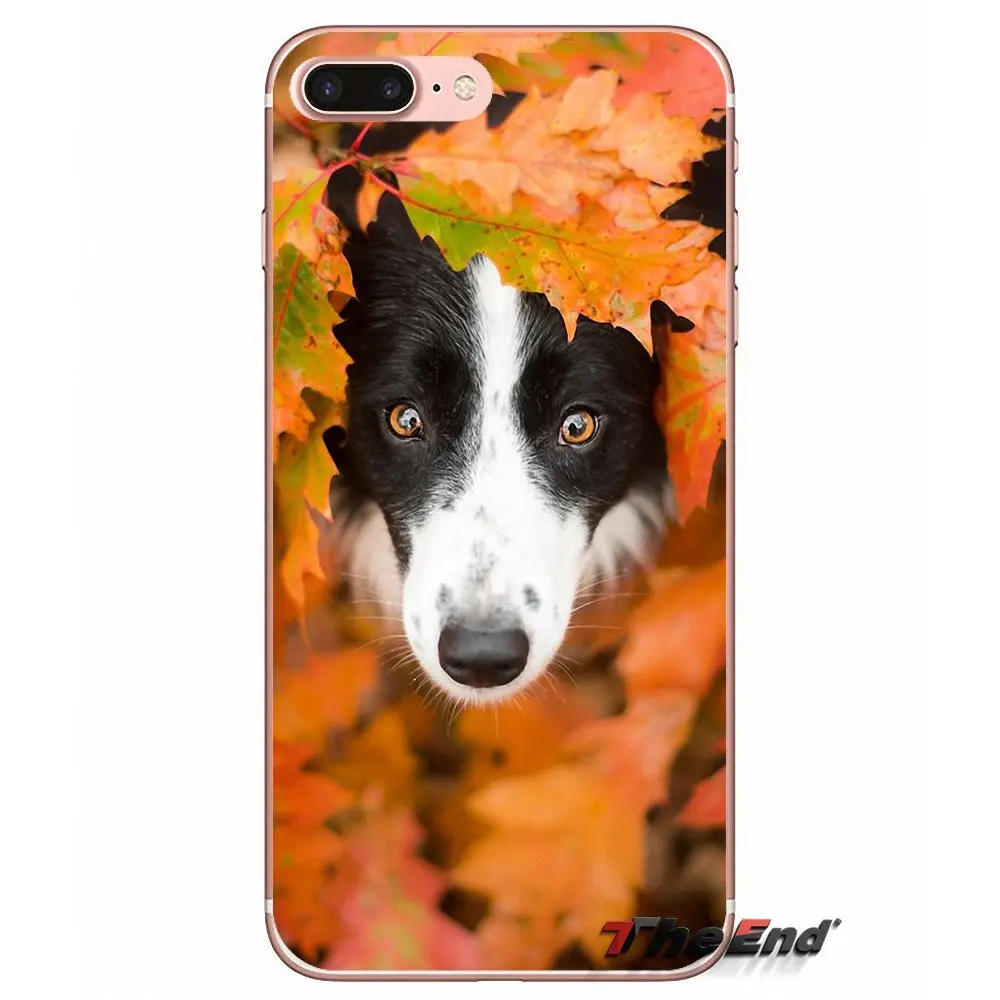 Мягкий силиконовый чехол для HTC One M7 M8 A9 M9 M10 E9 Plus Desire 630 530 626 628 816 820 Motorola G G2 G3 Border Collie