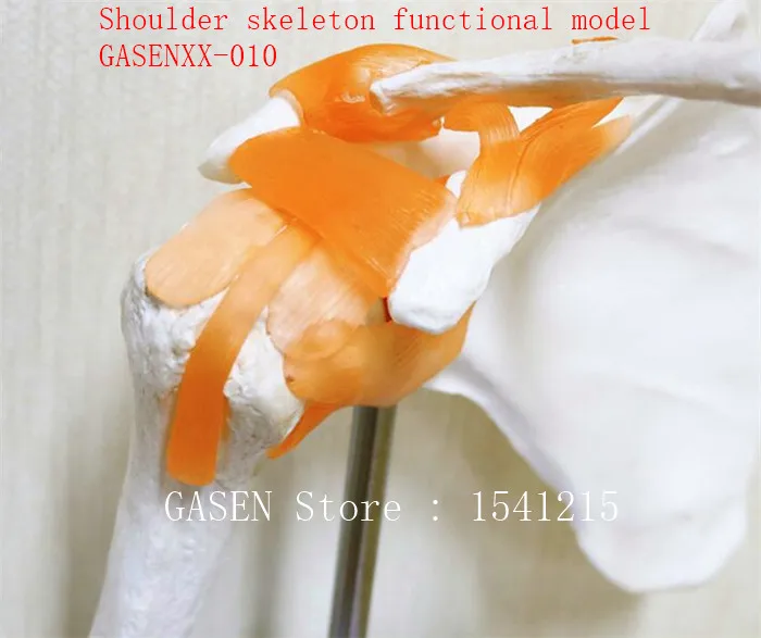 Функциональная модель GASENXX-010 | Канцтовары для офиса и дома