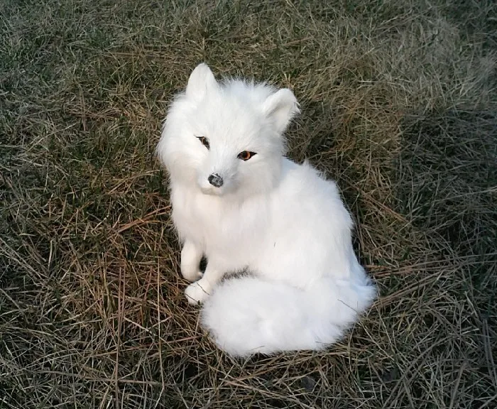 Имитация белой лисы игрушка эмуляция кукла для украшения дома около 19x14x10 см|fox