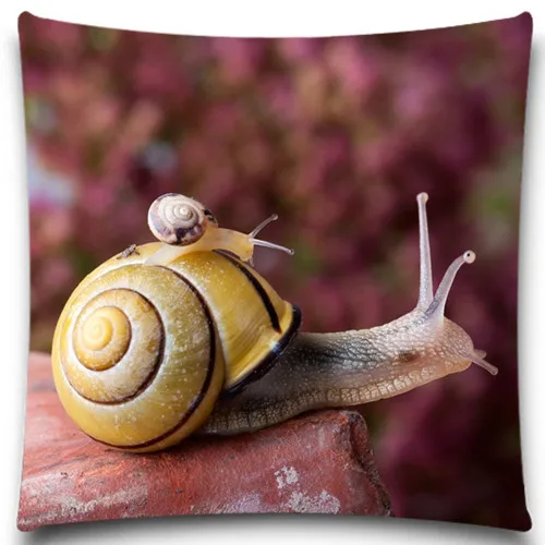 Наволочка на подушку с изображением петуха/паука 9 стилей 16 18 20 дюймов | Дом и сад