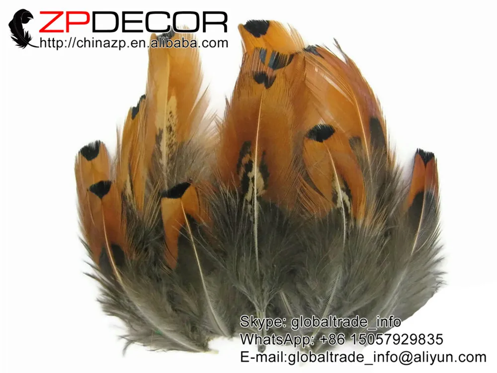 ZPDECOR 6 10 см 200 шт./лот чистое Золотое кольцо на шею оперение фазана свободные перья