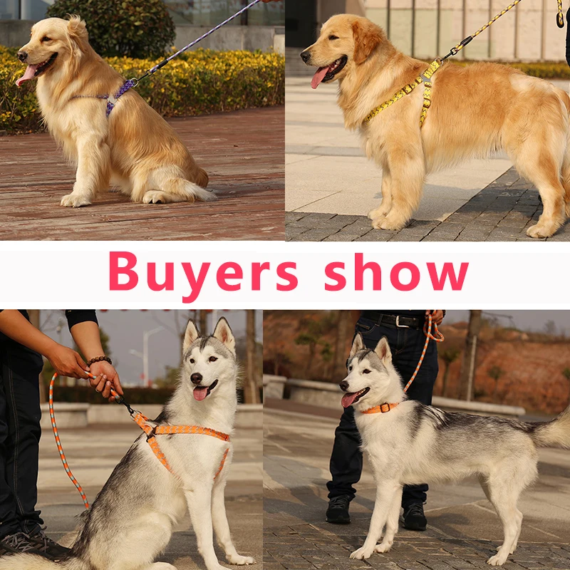[GIIWIN] ошейник поводок животное жгут для больших и маленьких собак продукты