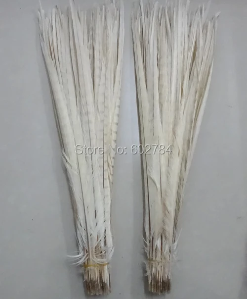 

Free Shipping 100PCS 50-55cm 20-22 inches Beige off white Carninal dyed Pheasant tail feathers Dying ringneck pheasant feather