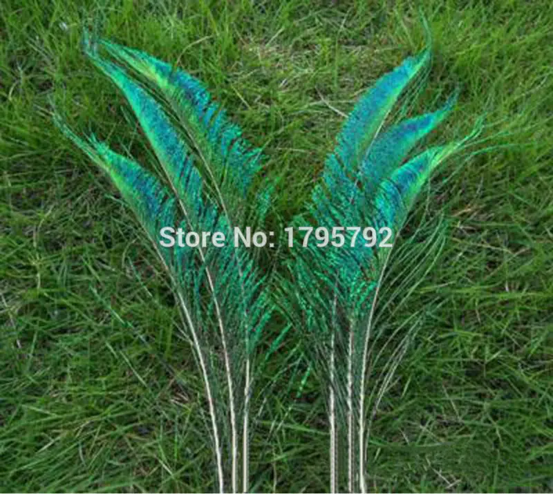 100pcs Peacock Sword Feathers Symmetrical 25-30cm Natural Green Iridescent Plumas for Left &amp Right Crafts decorations Plumes | Дом и сад