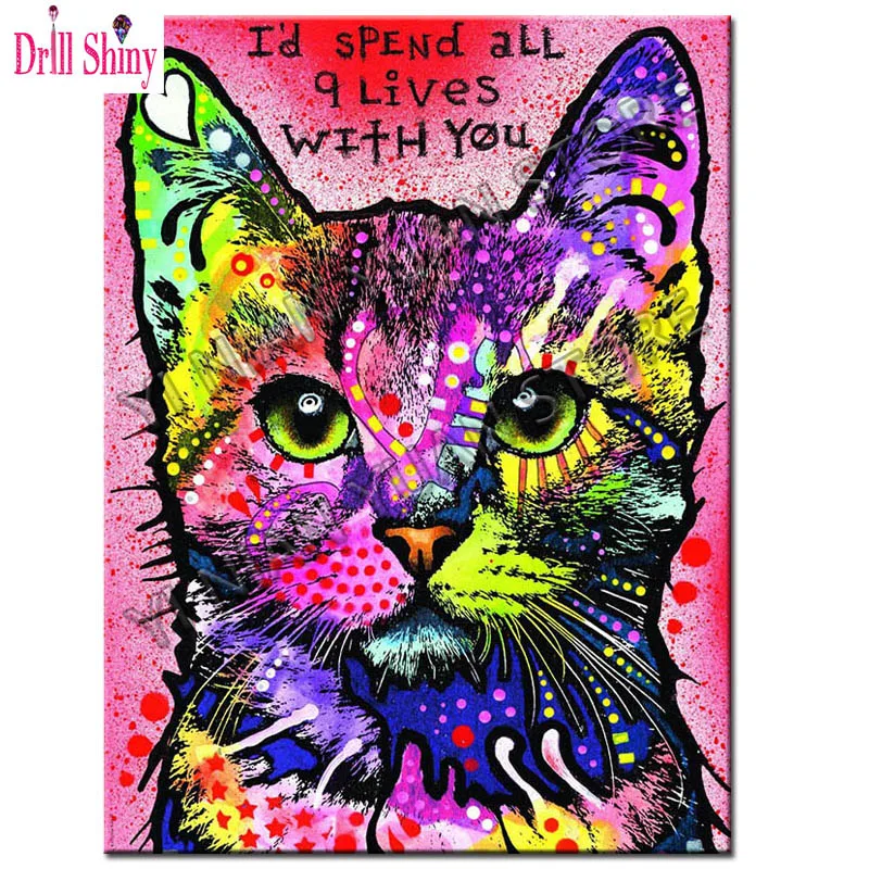Алмазная картина цветные животные белка полный Кот 5d квадратная мозаика Набор
