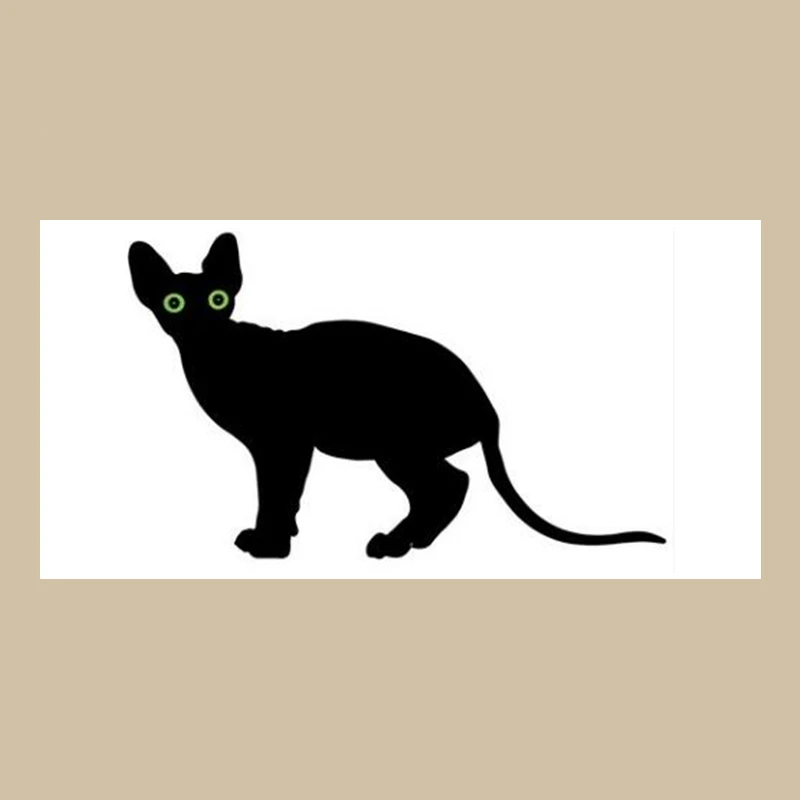 Новое забавное пляжное полотенце для душа без волос Сфинкс кошка милый котенок