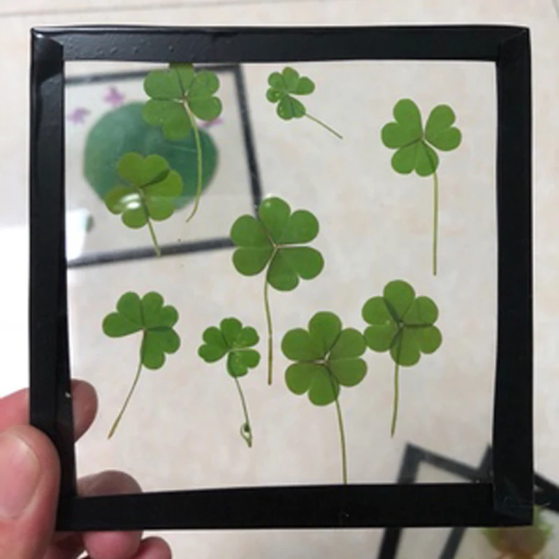 2 шт прозрачный акриловый стеклянный лист образец растения фоторамка DIY черная