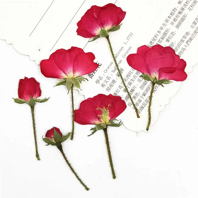 Новинка 2019 китайские розы на стеблях оригинальные высушенные цветы свечи 1