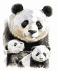 Картина маслом по номерам, без рамки, панда, 5065