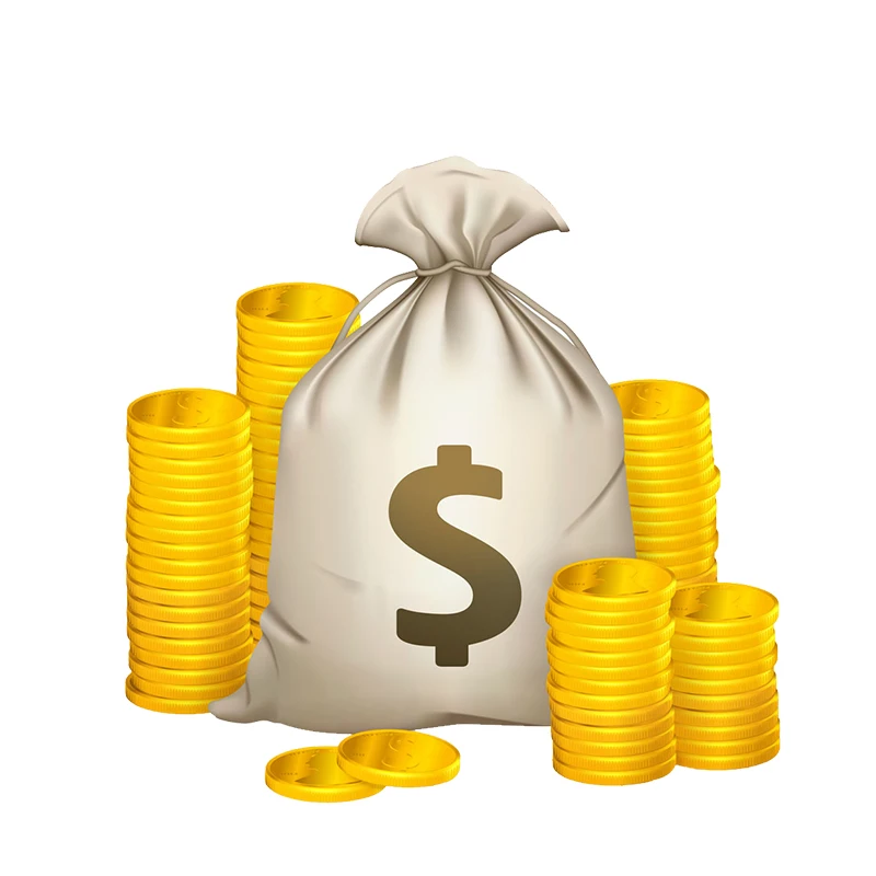 

VIP dedicated payment link