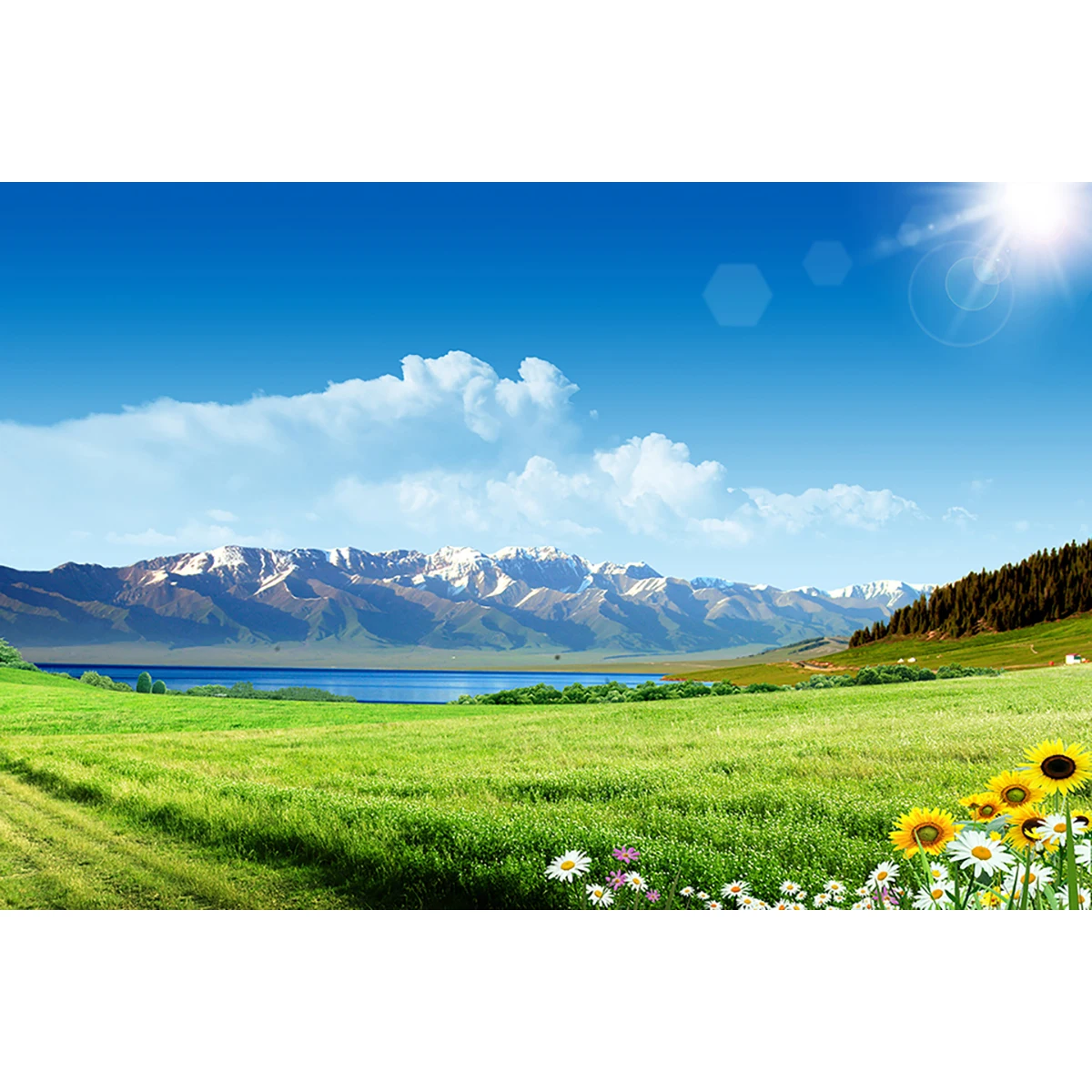 Allenjoy фон для фотосъемки прерий снежные горы белые облака ромашки Рождественские
