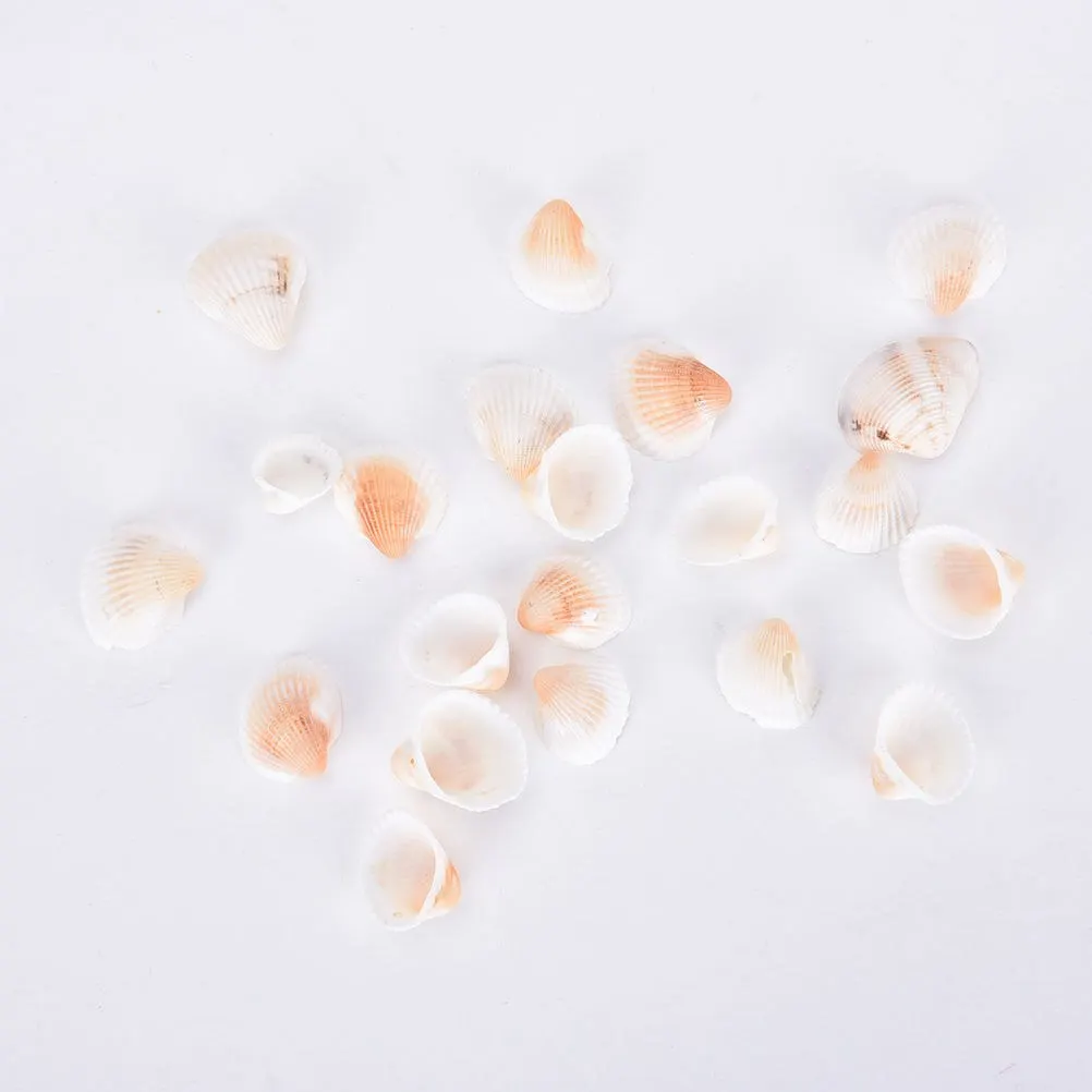 20pcs random color 100 г много смешанных морских ракушек ремесло аквариум Морской Декор украшения натуральный мини раковины Средиземноморский - Color: 20pcs random color