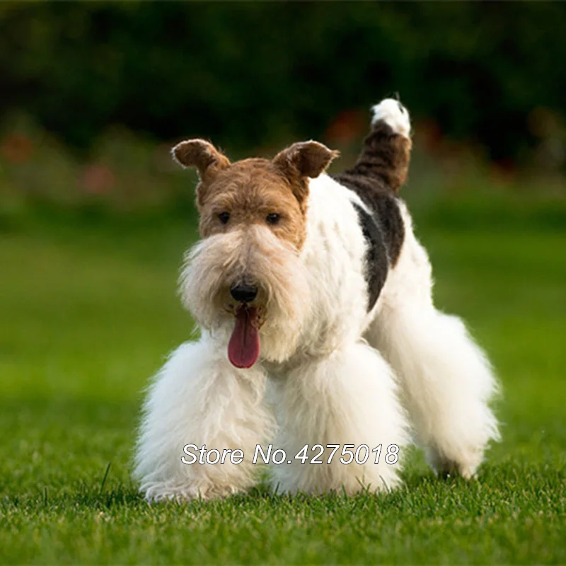 Алмазная живопись сделай сам вышивка крестиком 5D квадратная мозаика алмазная