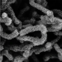 manganese dioxide mno2 carbon nanotubes