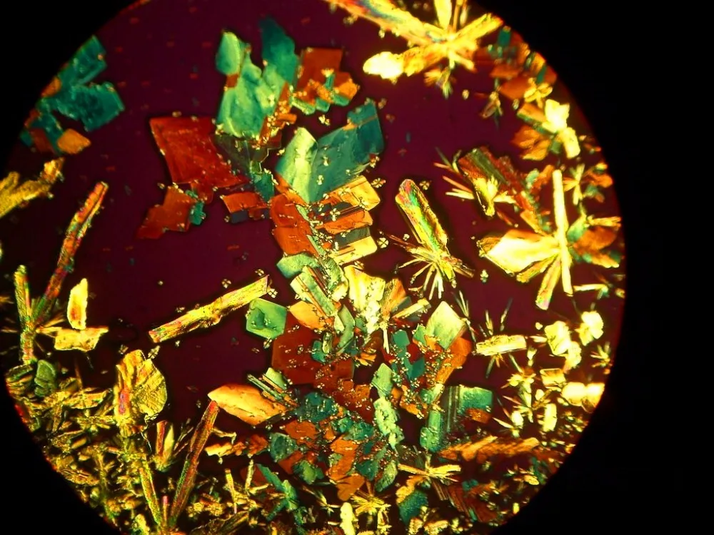 Поляризованная светильник вая микроскопия для прохождения и отражения стекла |