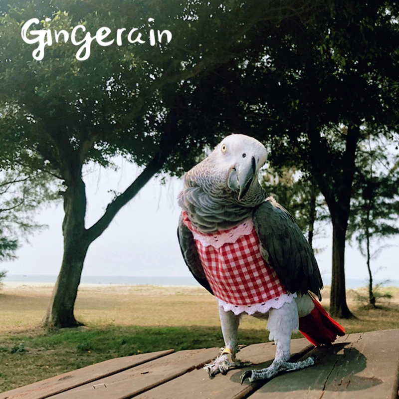 Gingerain одежда с птицами попугай Одежда Маленький принц оригинальный ручной работы