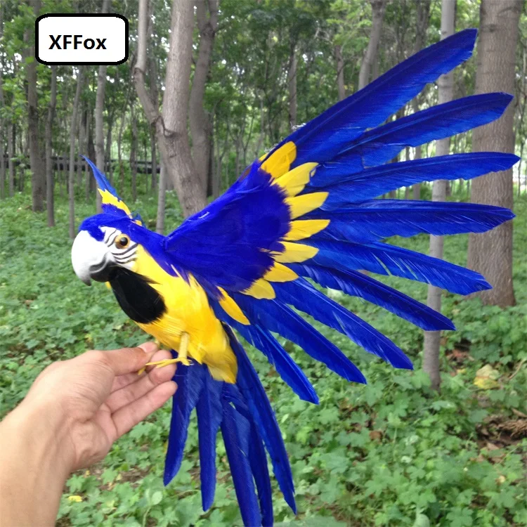 new real life dark blue&yellow parrot model foam&feather simulation wings parrot bird gift about 30x50cm xf0966 simulation parrot large 40x48cm spreading wings feathers parrot toy model home decoration gift h1123