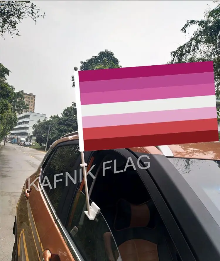 KAFNIK 30*45CMAgender Demisexual Aromantic Asexual флаги и баннеры на окна машины с 43/52 см флагштоком для