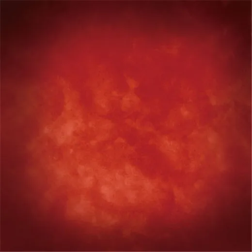 10x10FT Solid Red Crimson Color Wall Costume Portrait Photography Backdrops Studio Background Custom Vinyl 3x3m Abstract Concrete |