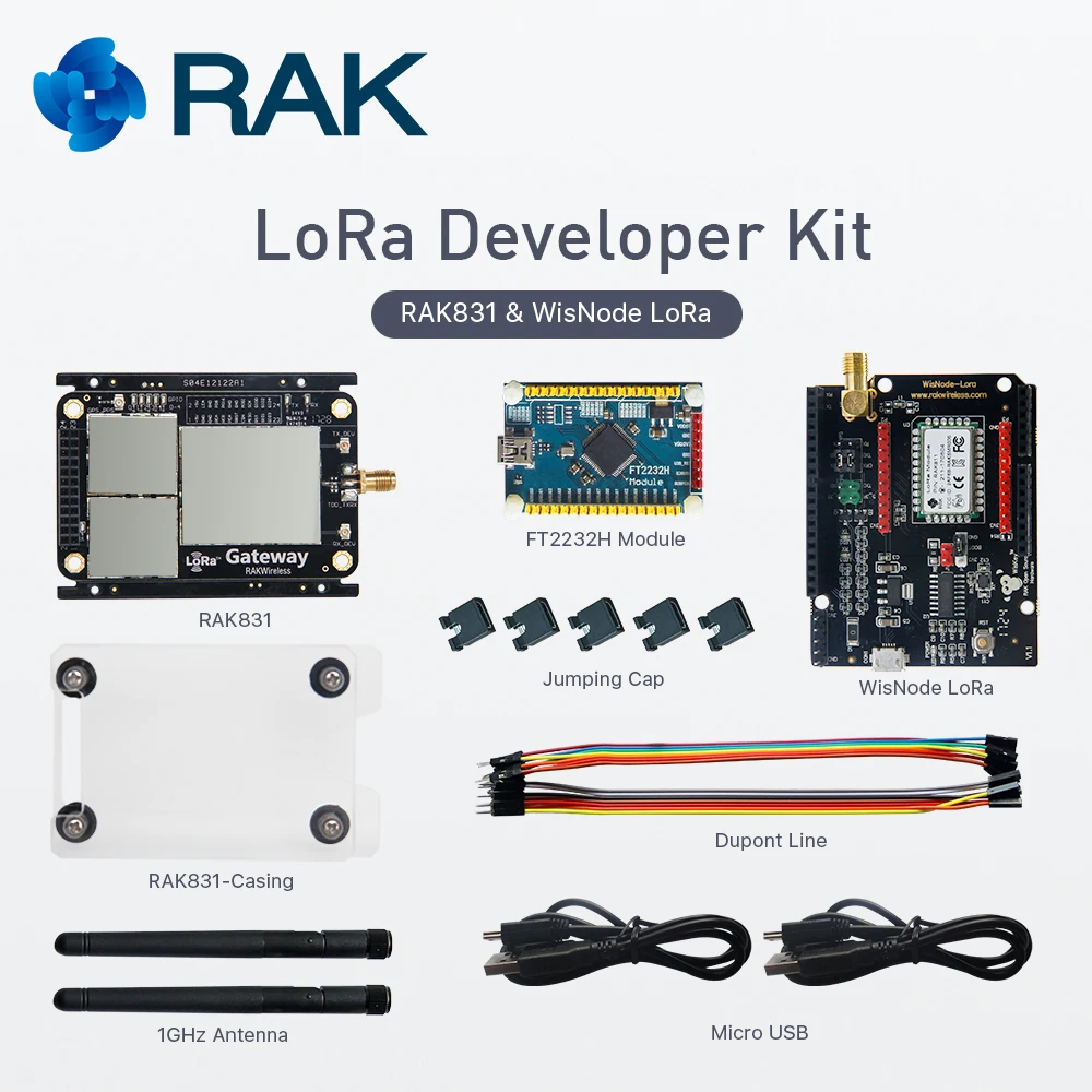 LoRa шлюз концентратор Комплект разработчика RAK831 модуль SX1301 с малиновым Конвертер