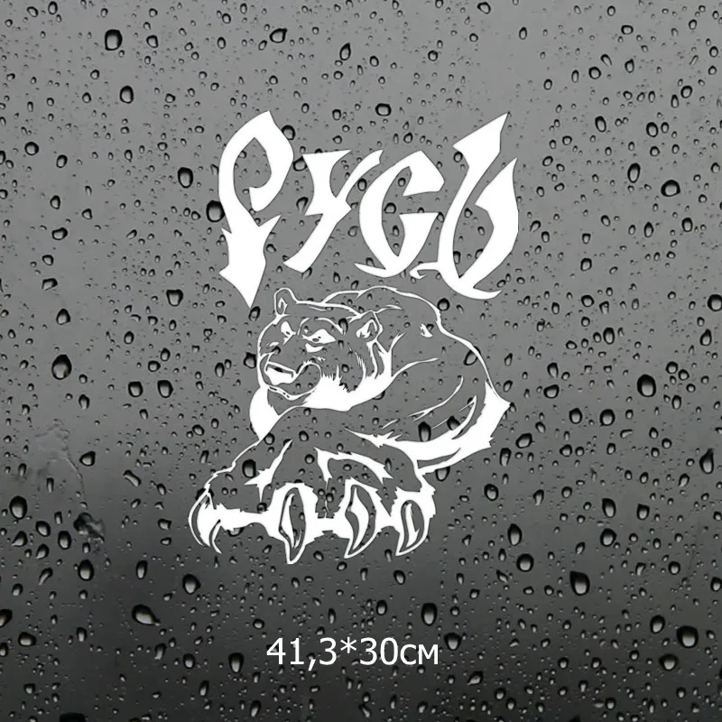 Three Ratels TZ-979# 20*14.5см 41.3*30см 1-2 шт виниловые наклейки на авто русский медведь русь наклейки на машину наклейка для авто автонаклейка стикеры