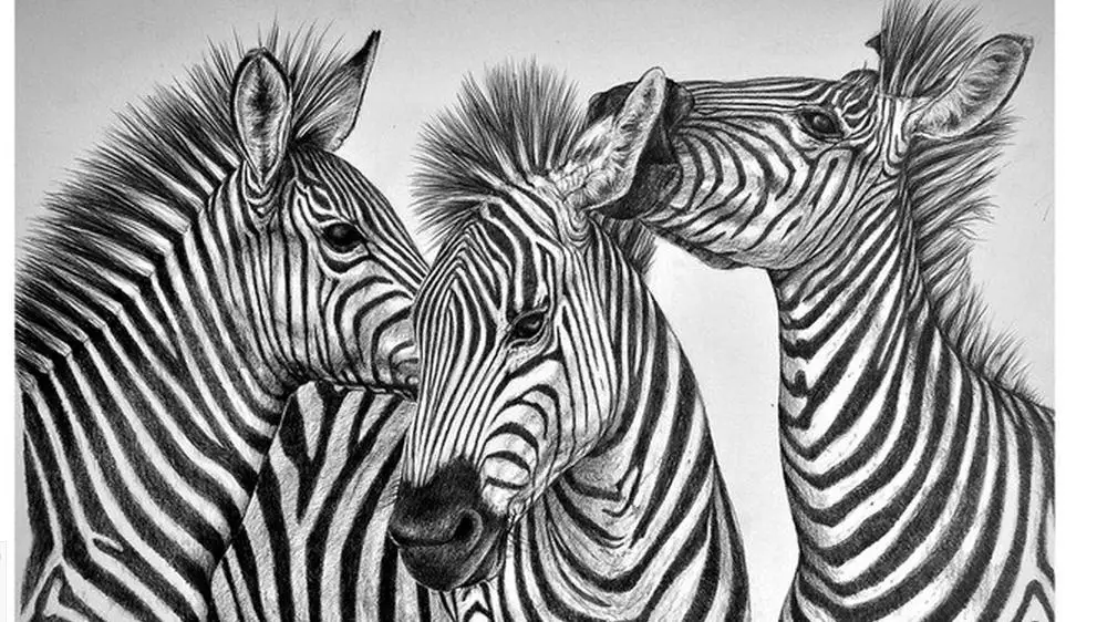 Пользовательские фото обои 3d Настенные черно-белый и абстрактные Зебра диван