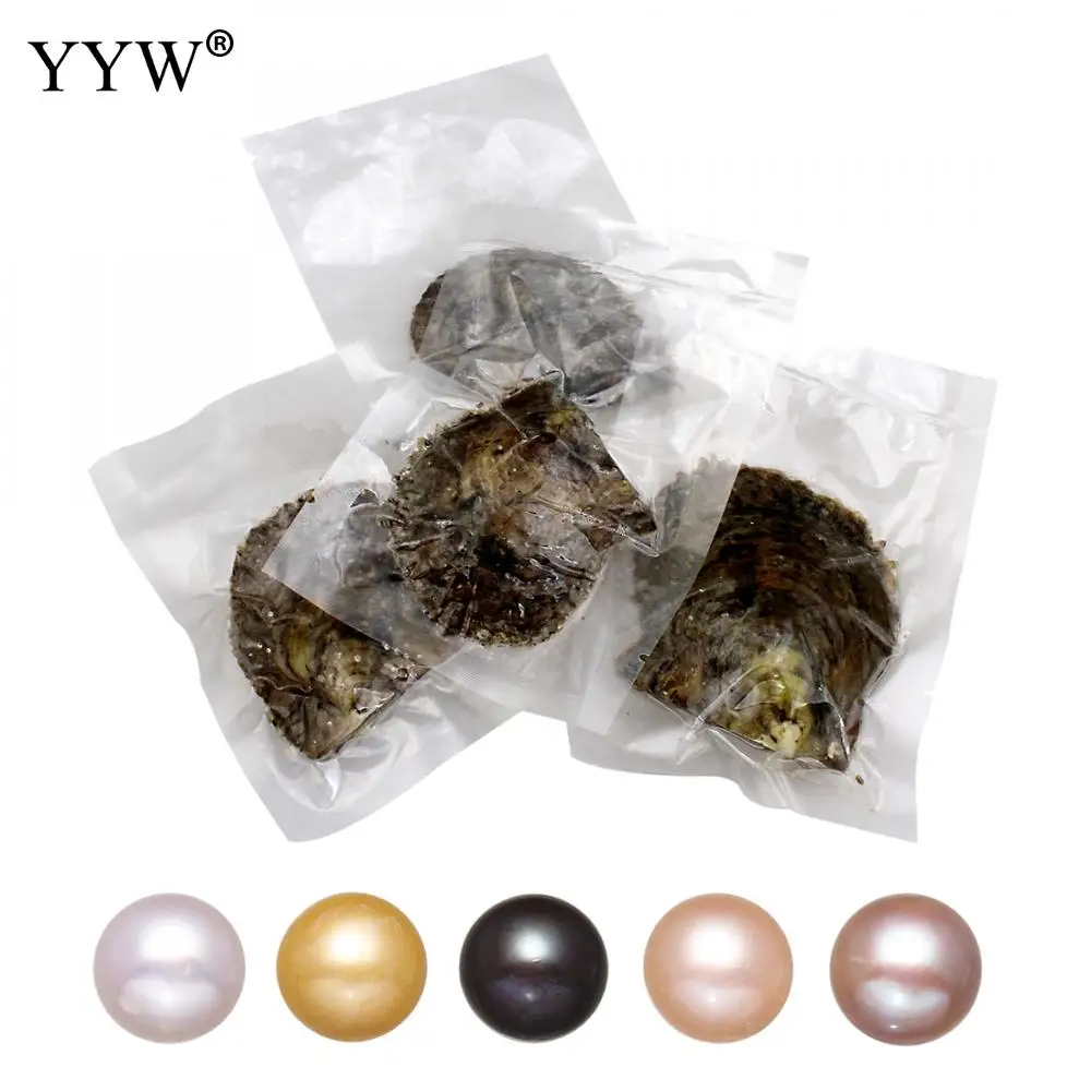 Mixed Colors Pearl Oysters Akoya Cultured Sea Pearls Beads Wholesale Colorful Round For Jewelry Making 5PCs/Bag | Украшения и